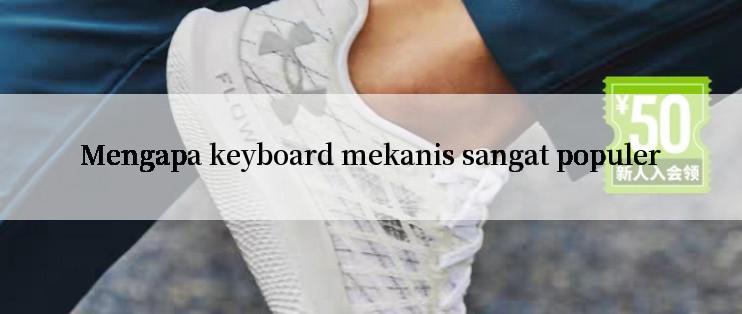 Mengapa keyboard mekanis sangat populer