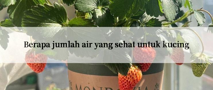 Berapa jumlah air yang sehat untuk kucing