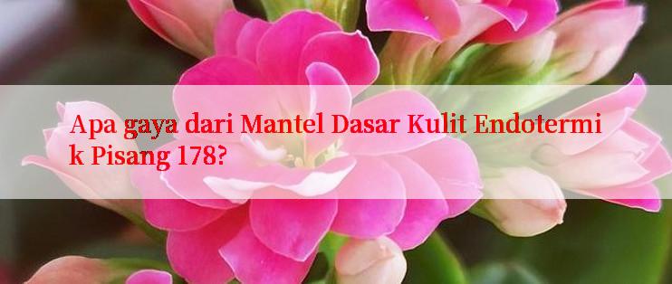 Apa gaya dari Mantel Dasar Kulit Endotermik Pisang 178?