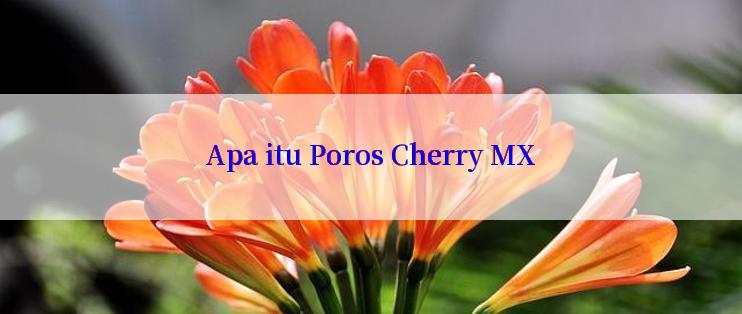 Apa itu Poros Cherry MX