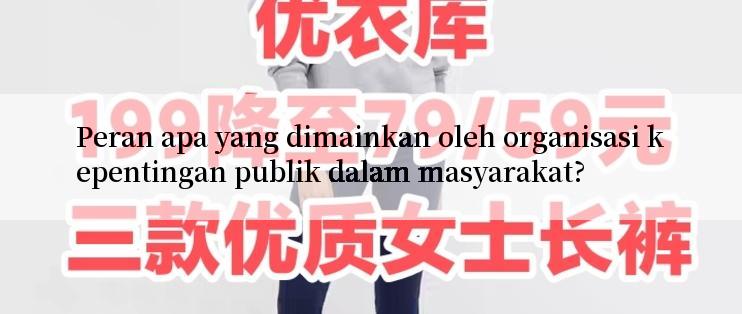 Peran apa yang dimainkan oleh organisasi kepentingan publik dalam masyarakat?