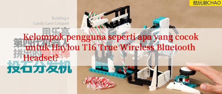 Kelompok pengguna seperti apa yang cocok untuk Haylou T16 True Wireless Bluetooth Headset?