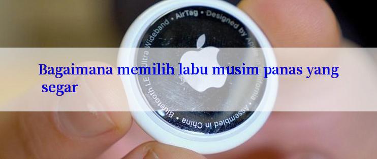 Bagaimana memilih labu musim panas yang segar