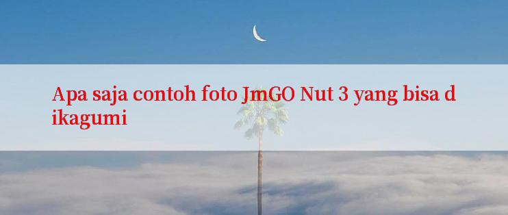 Apa saja contoh foto JmGO Nut 3 yang bisa dikagumi