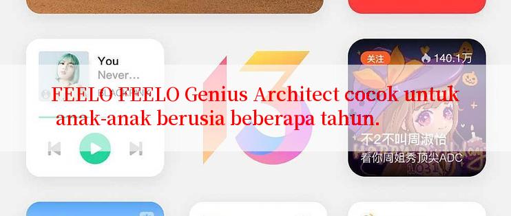 FEELO FEELO Genius Architect cocok untuk anak-anak berusia beberapa tahun.