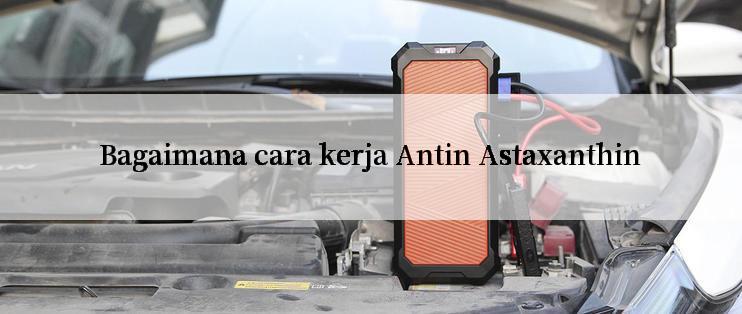 Bagaimana cara kerja Antin Astaxanthin