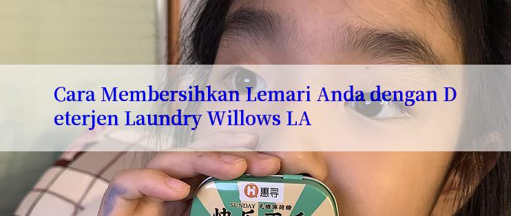 Cara Membersihkan Lemari Anda dengan Deterjen Laundry Willows LA