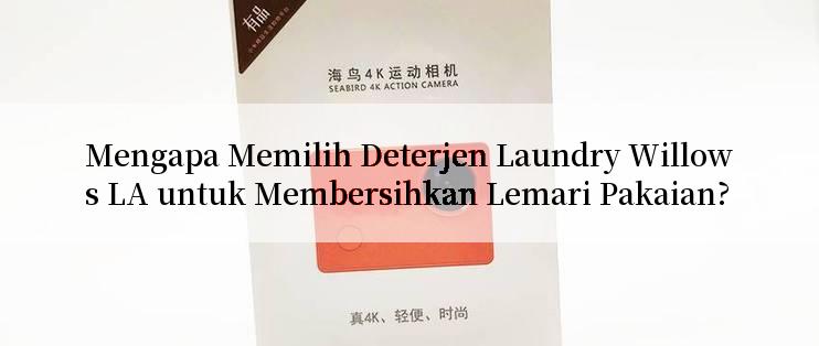 Mengapa Memilih Deterjen Laundry Willows LA untuk Membersihkan Lemari Pakaian?