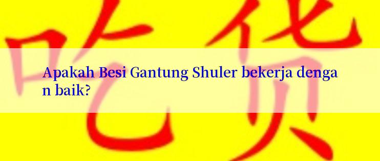 Apakah Besi Gantung Shuler bekerja dengan baik?