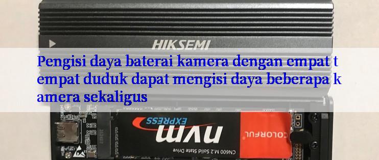 Pengisi daya baterai kamera dengan empat tempat duduk dapat mengisi daya beberapa kamera sekaligus