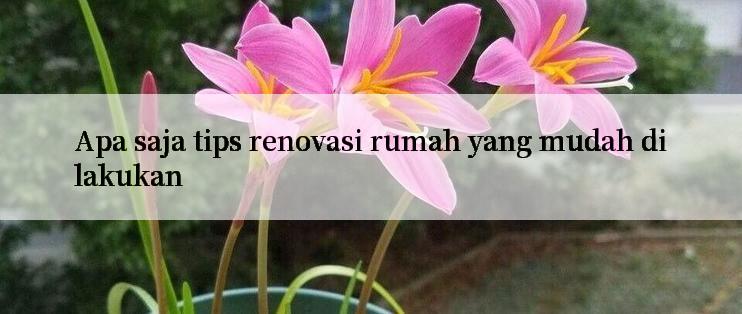 Apa saja tips renovasi rumah yang mudah dilakukan