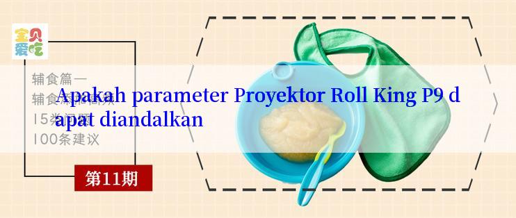 Apakah parameter Proyektor Roll King P9 dapat diandalkan