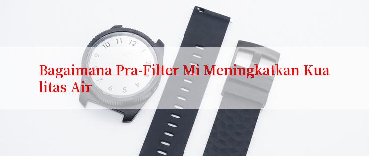 Bagaimana Pra-Filter Mi Meningkatkan Kualitas Air