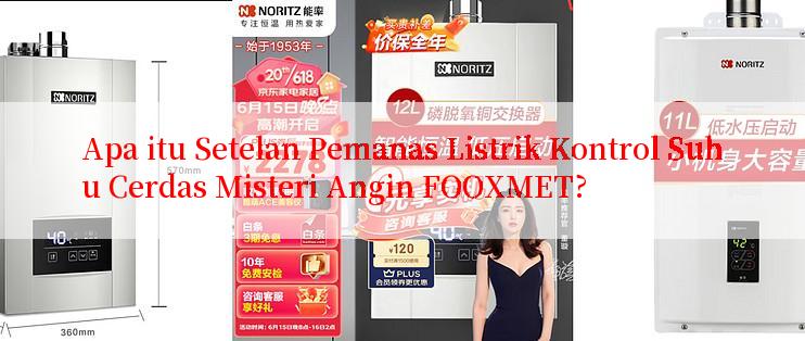 Apa itu Setelan Pemanas Listrik Kontrol Suhu Cerdas Misteri Angin FOOXMET?