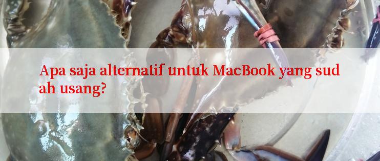 Apa saja alternatif untuk MacBook yang sudah usang?