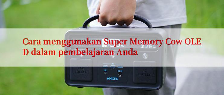 Cara menggunakan Super Memory Cow OLED dalam pembelajaran Anda