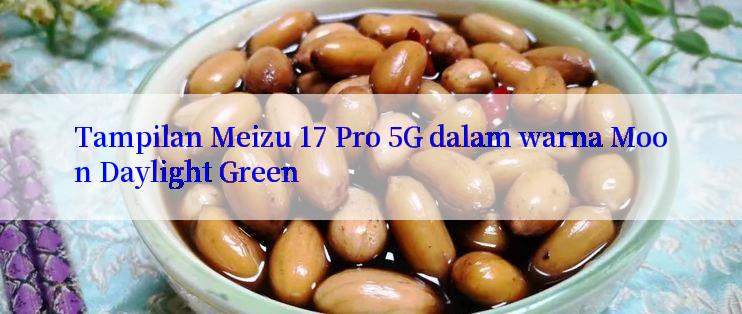 Tampilan Meizu 17 Pro 5G dalam warna Moon Daylight Green