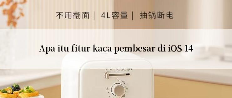 Apa itu fitur kaca pembesar di iOS 14