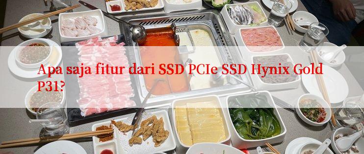 Apa saja fitur dari SSD PCIe SSD Hynix Gold P31?