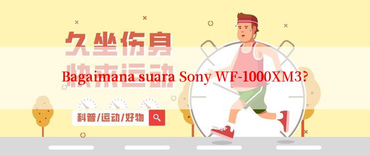 Bagaimana suara Sony WF-1000XM3?