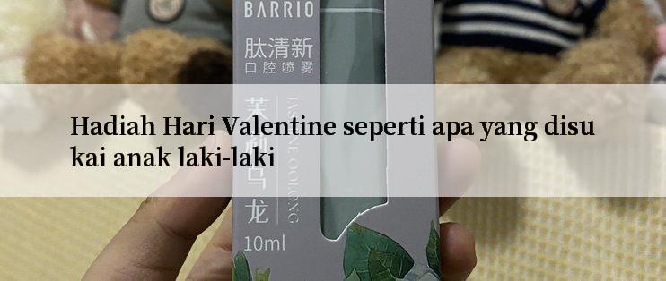 Hadiah Hari Valentine seperti apa yang disukai anak laki-laki