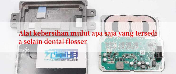 Alat kebersihan mulut apa saja yang tersedia selain dental flosser

