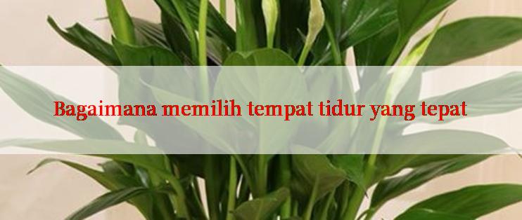 Bagaimana memilih tempat tidur yang tepat