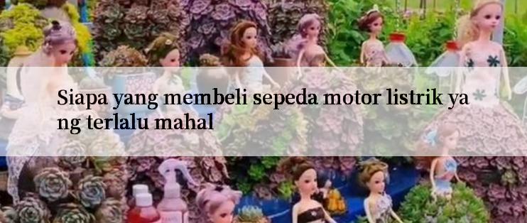 Siapa yang membeli sepeda motor listrik yang terlalu mahal