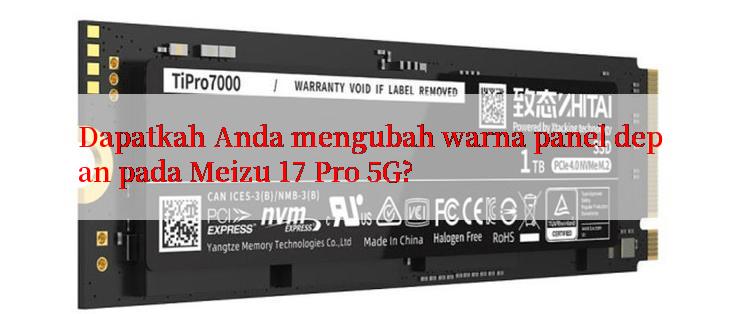 Dapatkah Anda mengubah warna panel depan pada Meizu 17 Pro 5G?