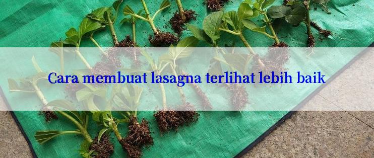 Cara membuat lasagna terlihat lebih baik