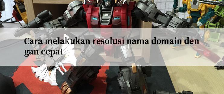 Cara melakukan resolusi nama domain dengan cepat