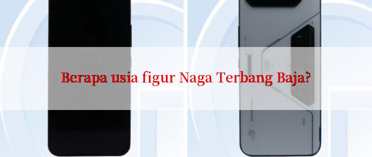 Berapa usia figur Naga Terbang Baja?