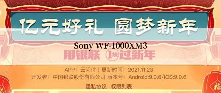 Sony WF-1000XM3