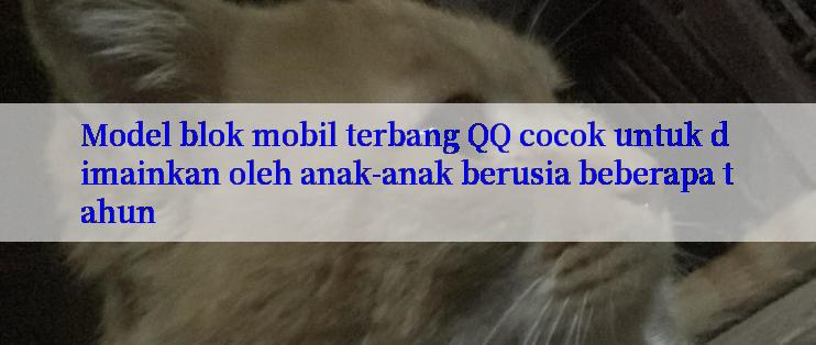 Model blok mobil terbang QQ cocok untuk dimainkan oleh anak-anak berusia beberapa tahun