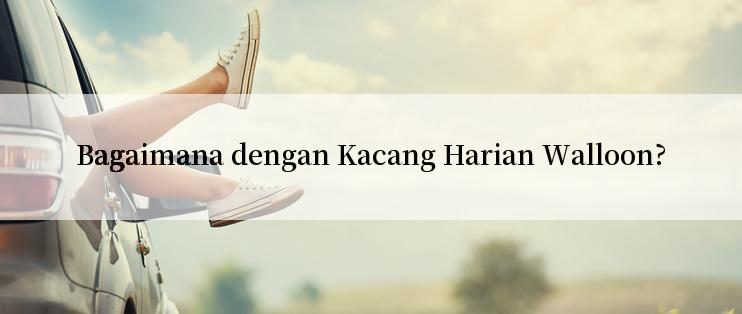 Bagaimana dengan Kacang Harian Walloon?