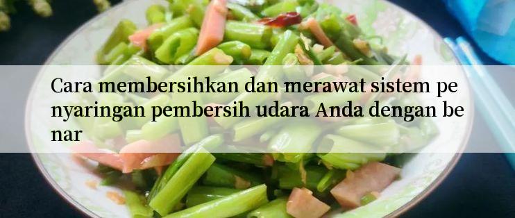 Cara membersihkan dan merawat sistem penyaringan pembersih udara Anda dengan benar