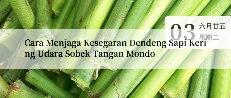 Cara Menjaga Kesegaran Dendeng Sapi Kering Udara Sobek Tangan Mondo