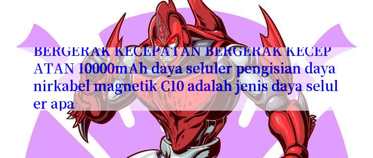 BERGERAK KECEPATAN BERGERAK KECEPATAN 10000mAh daya seluler pengisian daya nirkabel magnetik C10 adalah jenis daya seluler apa