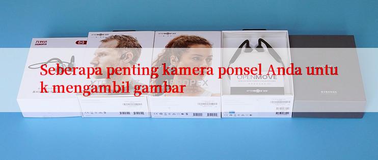 Seberapa penting kamera ponsel Anda untuk mengambil gambar