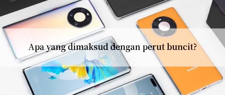 Apa yang dimaksud dengan perut buncit?