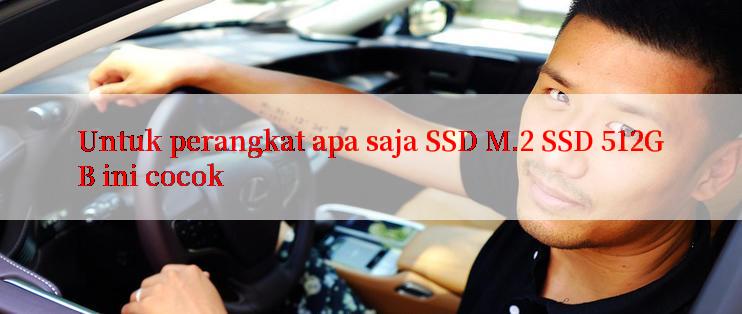 Untuk perangkat apa saja SSD M.2 SSD 512GB ini cocok