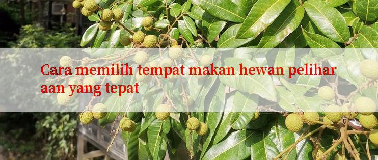 Cara memilih tempat makan hewan peliharaan yang tepat