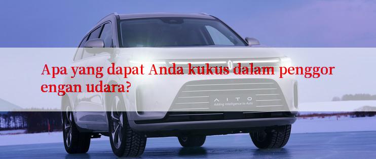 Apa yang dapat Anda kukus dalam penggorengan udara?