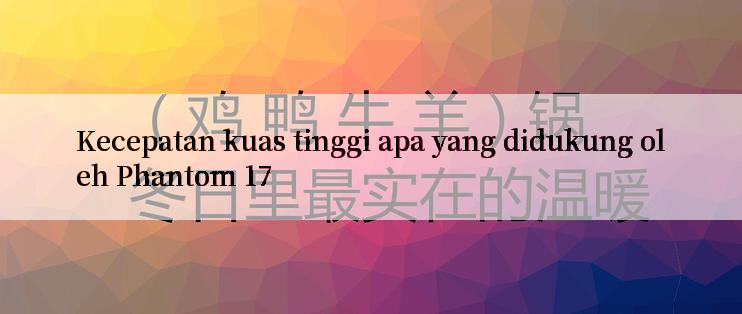 Kecepatan kuas tinggi apa yang didukung oleh Phantom 17