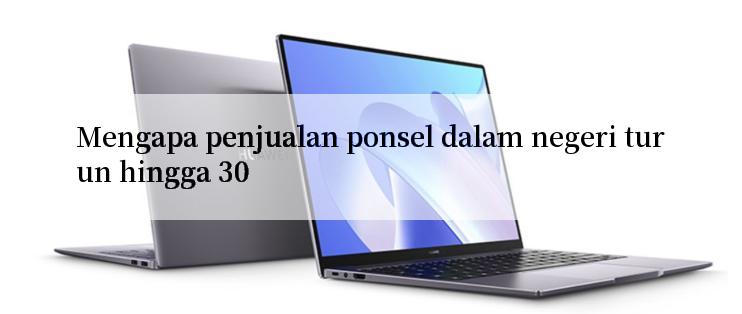 Mengapa penjualan ponsel dalam negeri turun hingga 30