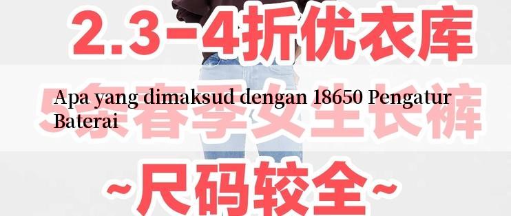 Apa yang dimaksud dengan 18650 Pengatur Baterai