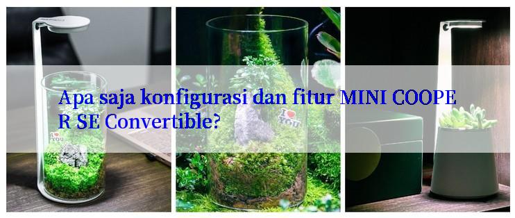 Apa saja konfigurasi dan fitur MINI COOPER SE Convertible?