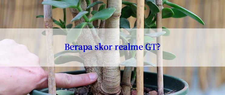 Berapa skor realme GT?