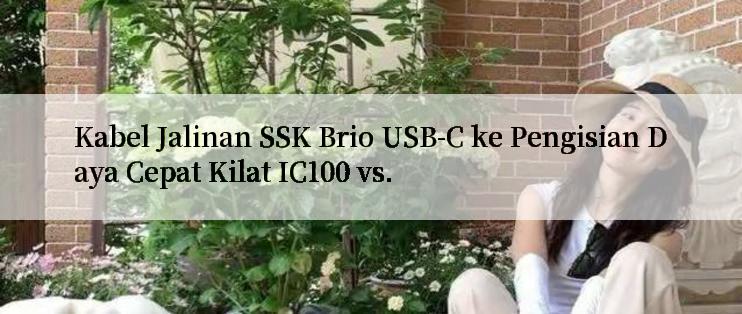 Kabel Jalinan SSK Brio USB-C ke Pengisian Daya Cepat Kilat IC100 vs.