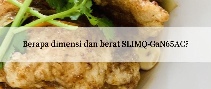 Berapa dimensi dan berat SLIMQ-GaN65AC?